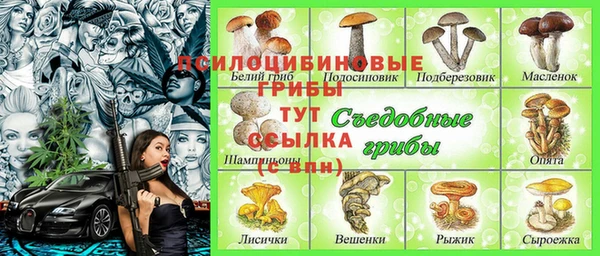 мяу мяу мука Богданович