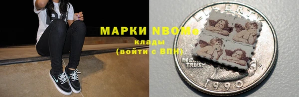 шишки Богородицк