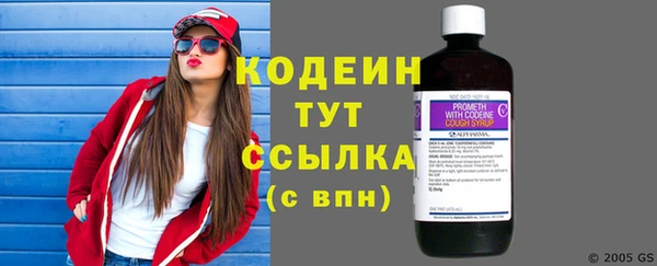 шишки Богородицк