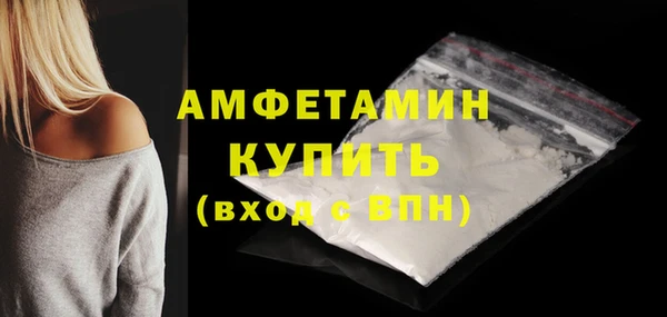 шишки Богородицк