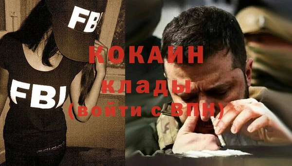 шишки Богородицк