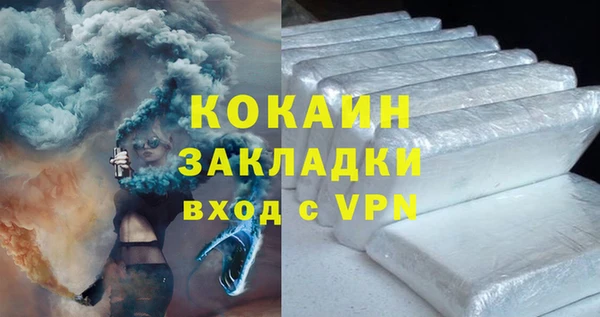 шишки Богородицк