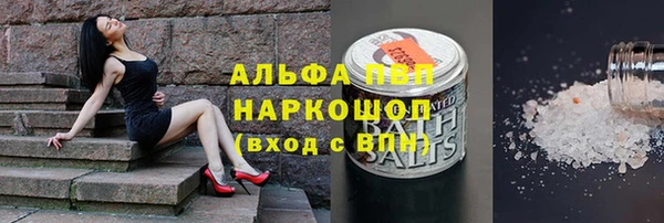 шишки Богородицк
