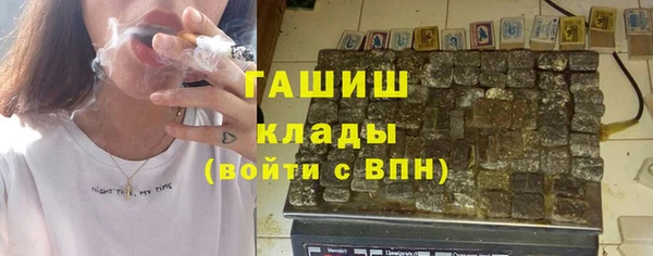 шишки Богородицк