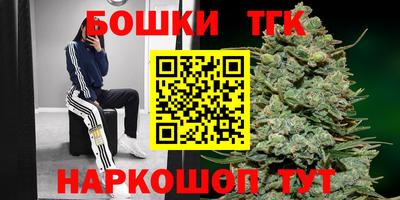 шишки Тулун