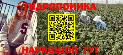 наркотики Гусиноозёрск