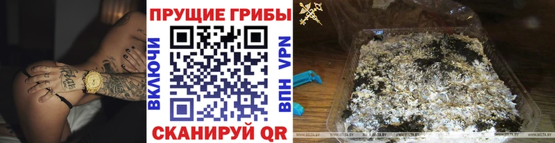 площадка какой сайт  Пыть-Ях  Галлюциногенные грибы прущие грибы  OMG сайт 