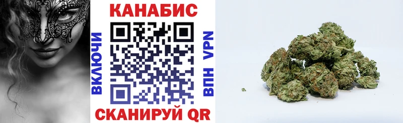 Каннабис сатива  Пыть-Ях 